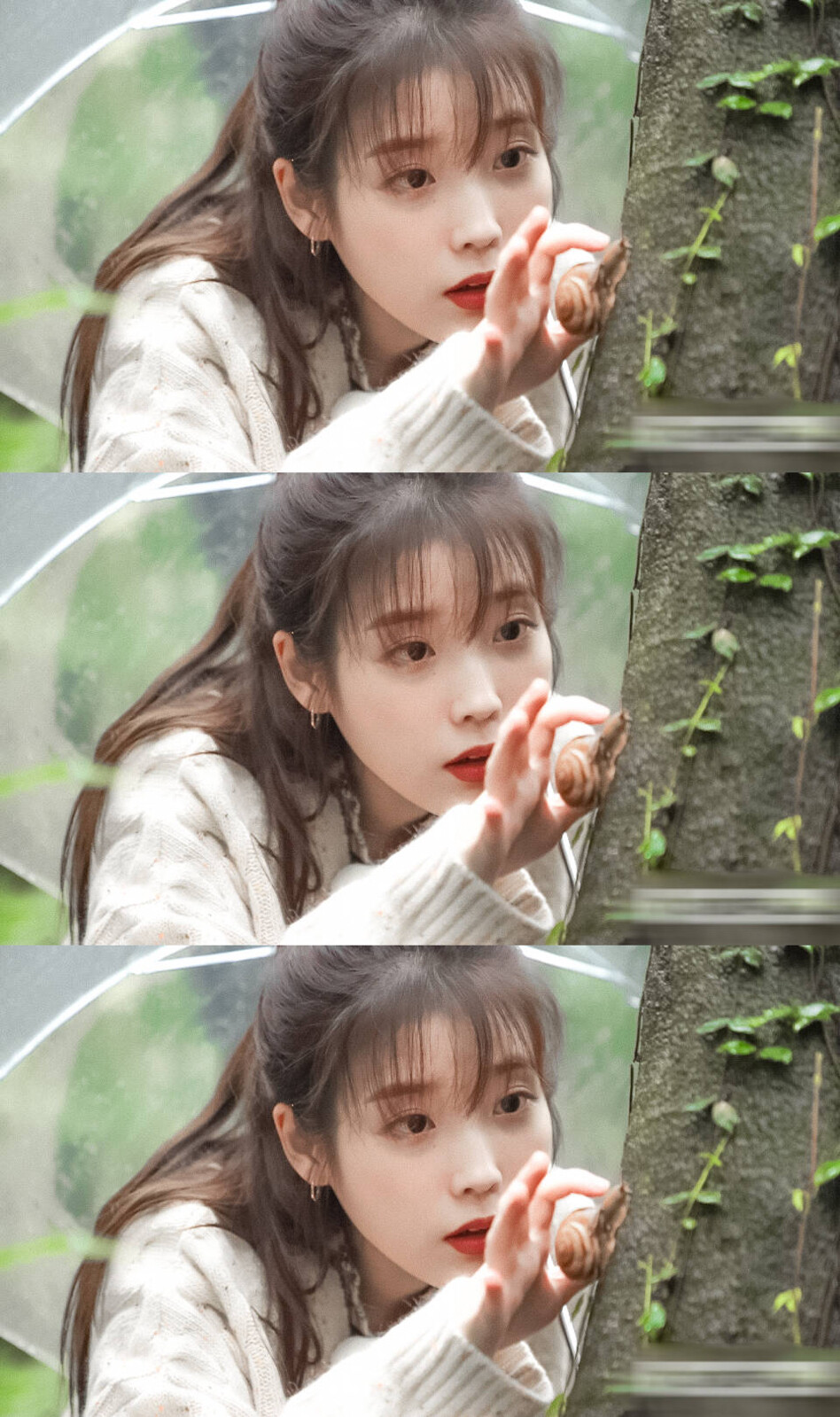 IU | 树啊树啊
cr:·春日思归·