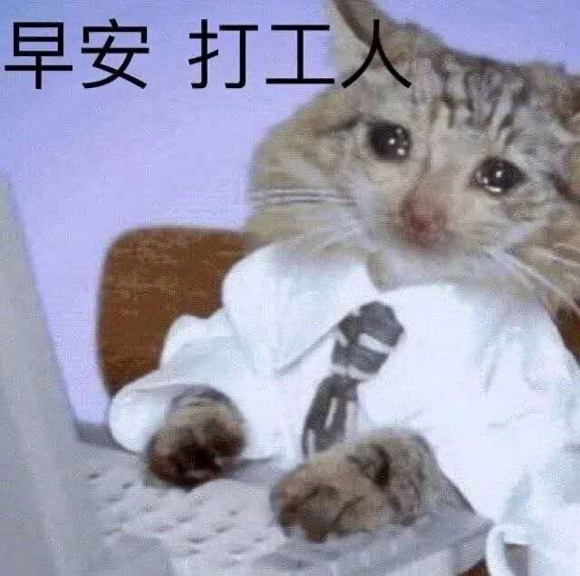 表情包