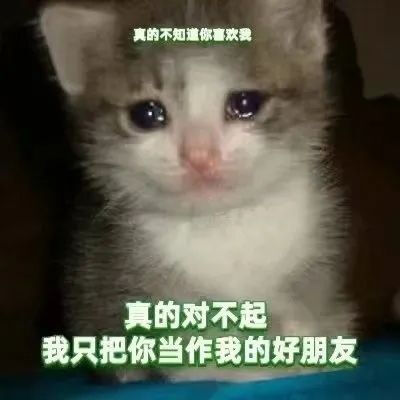 流泪猫猫头