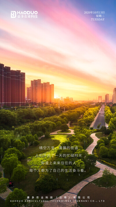 晴空万里，清晨的街道
人们开启了一天的忙碌时光
街道上来来往往的人
每个人都为了自己的生活奋斗着。
豪多农业，美味与健康共存！
