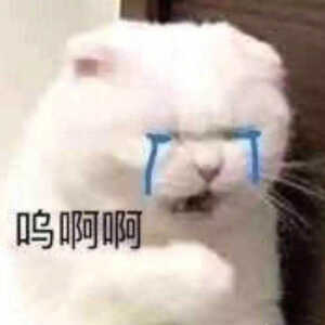 沙雕可爱表情包