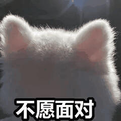 沙雕可爱表情包