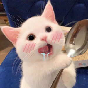 沙雕可爱表情包