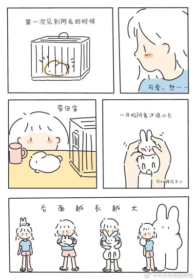 兔
画师：高呼吾名黑音
#冷瞳