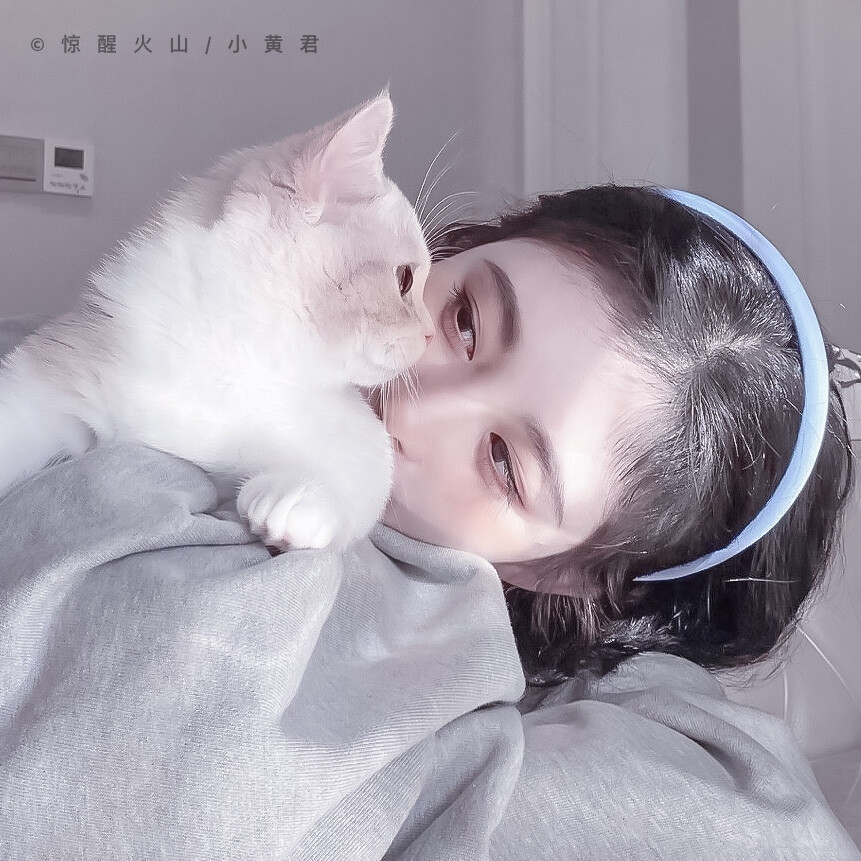 * 猫 的 生 存 法 则 》〉 鞠婧祎 / 小黄君