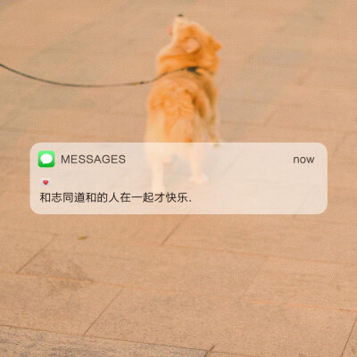 ☺︎
MESSAGES 背景图