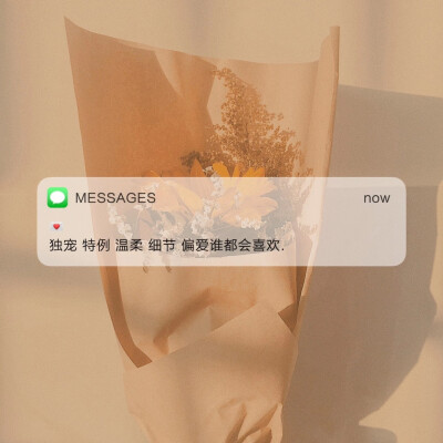 ☺︎
MESSAGES 背景图