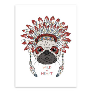 印第安 动物 - 高清图片,堆糖,美图壁纸兴趣社区