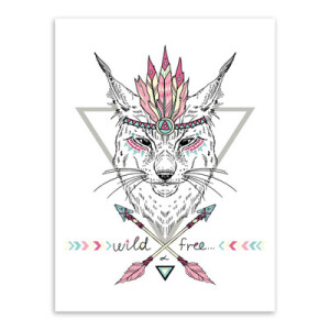 印第安 动物 - 高清图片,堆糖,美图壁纸兴趣社区