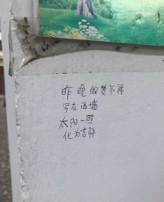 背景图