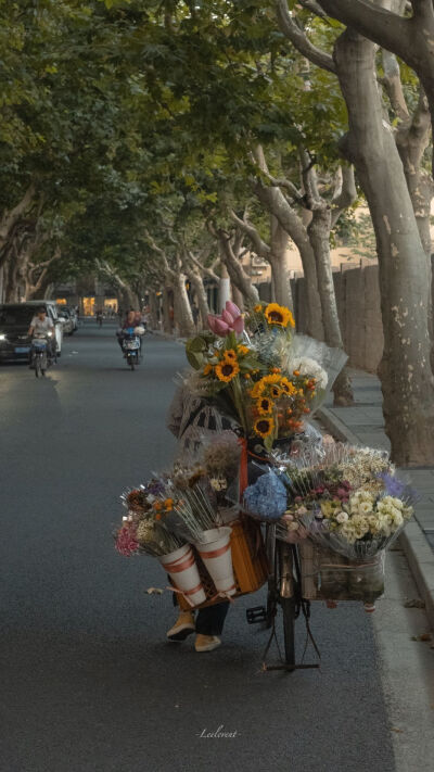 背景壁纸.