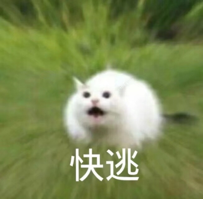 表情包 流泪猫猫头