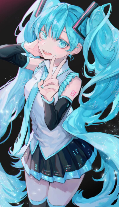 #初音未来# miku
画师：神咲 真琴