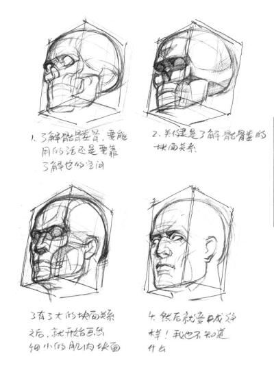 人体透视基础