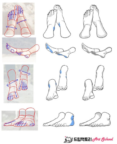 人体透视基础