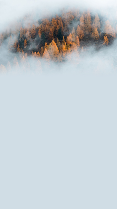 #宋珂#dt不知名的一条鱼