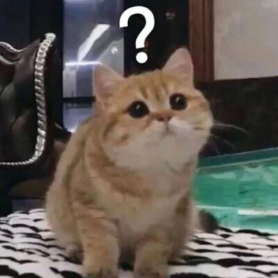 放学陪我吹晚风吧