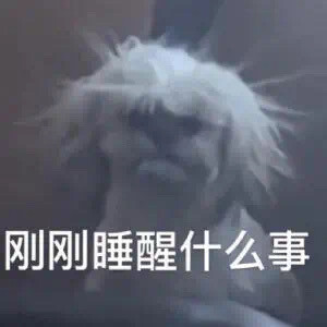 表情包，又是贫穷的一天