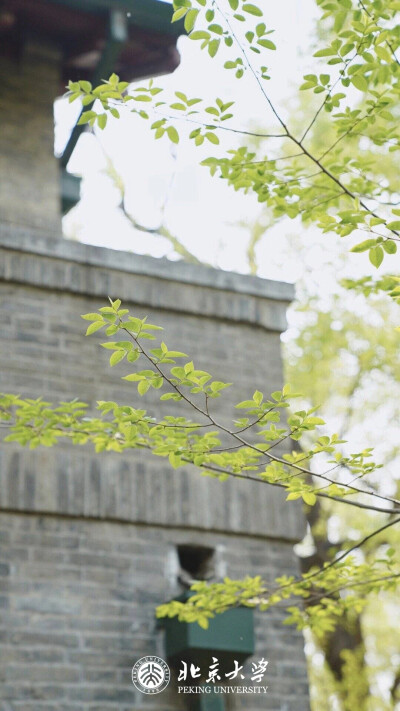 可当壁纸的大学照片#北京大学