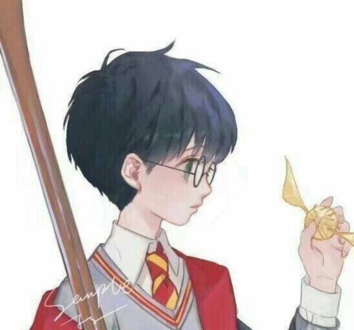 Harry potter