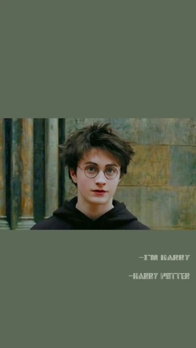 Harry potter