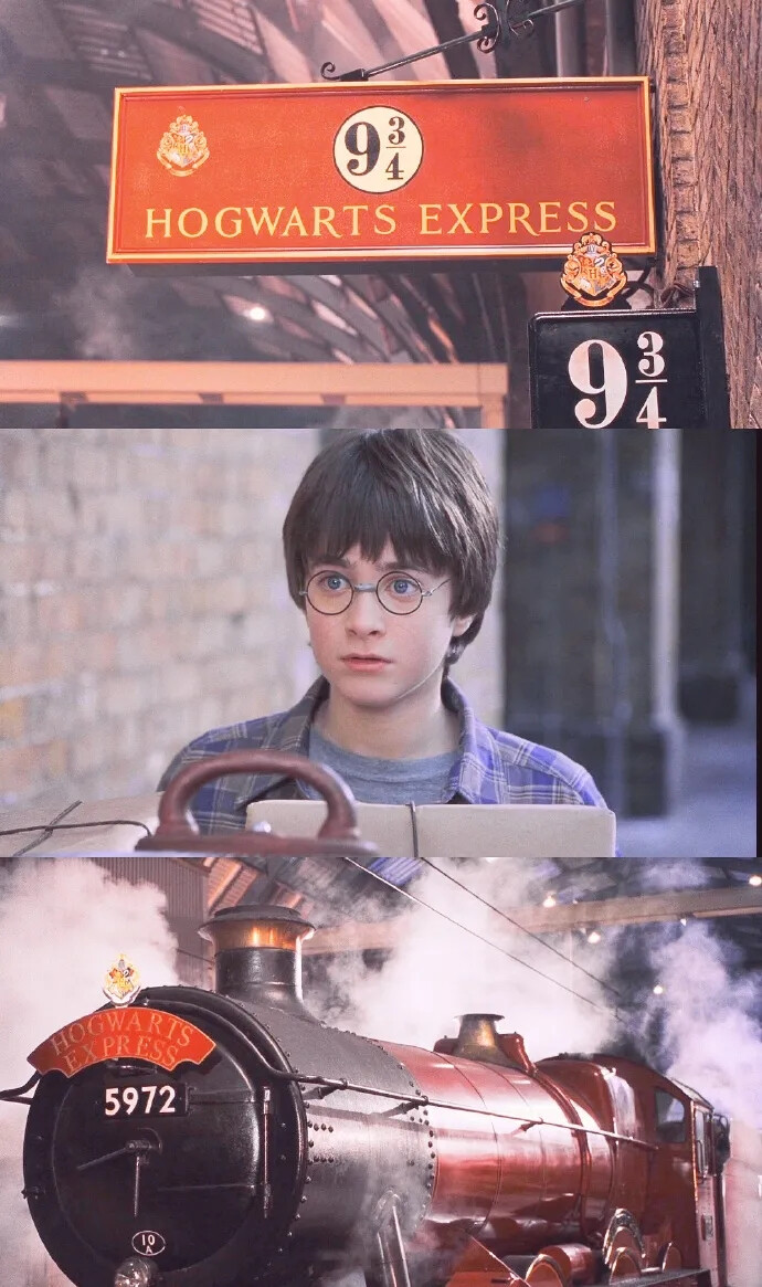 Harry potter