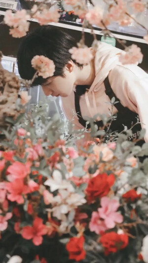 时代少年团TNT
壁纸