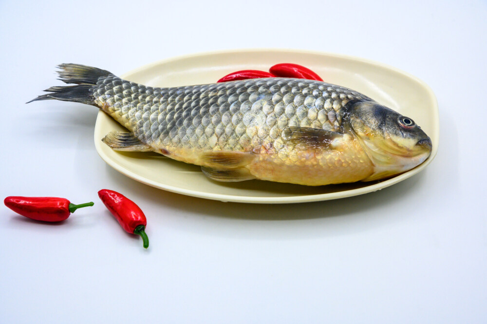 鲫鱼 生物 水生生物 水产品 海产品 鱼类 海鲜 狗杠鱼 推浪鱼 沙逛鱼 地龙鱼 天浪鱼 光鱼 海鱼 新鲜 动物 海洋动物 室内 食材 食物 待加工 烹饪 野生鱼 捕捞 特写 黑色背景 容器 简单背景 白瓷盘 瓷器 整条鱼 饮食 营养丰富 中国 葱 大葱 蒜 大蒜 辣椒 红色 辛辣 佐料 调料
