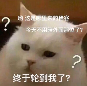 表情包