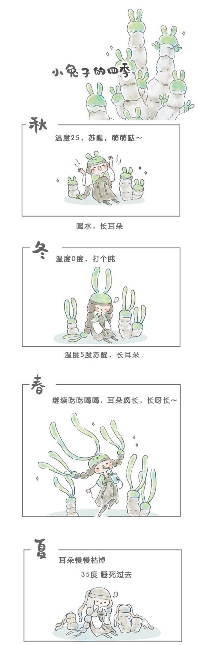 罗罗布-碧光环