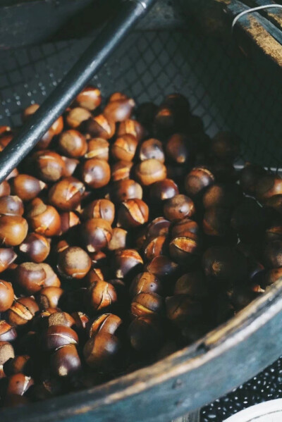 吃糖炒栗子啦