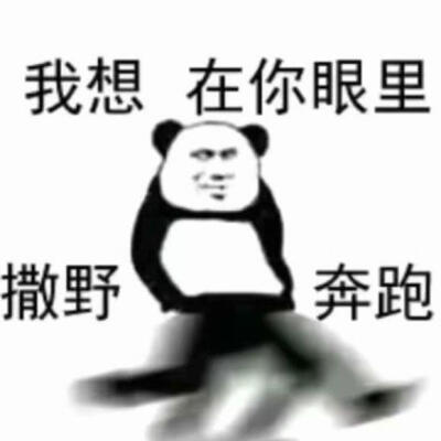 表情包