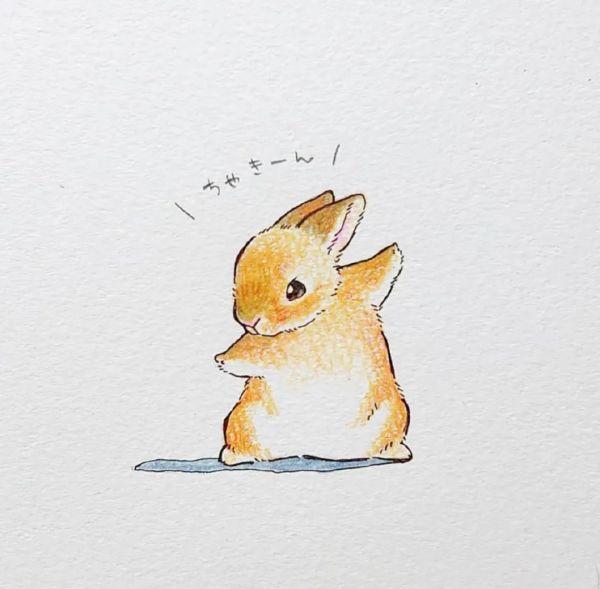 兔兔那么可爱
壁纸头像