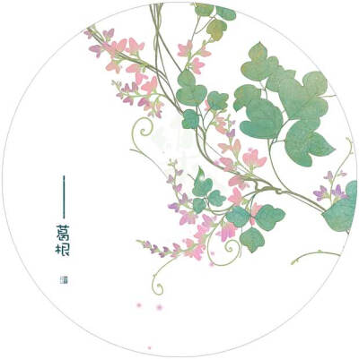 手绘古风花·中药系列
画师：樂兮