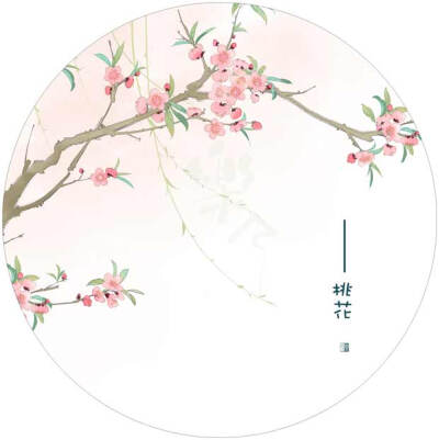 手绘古风花·中药系列
画师：樂兮