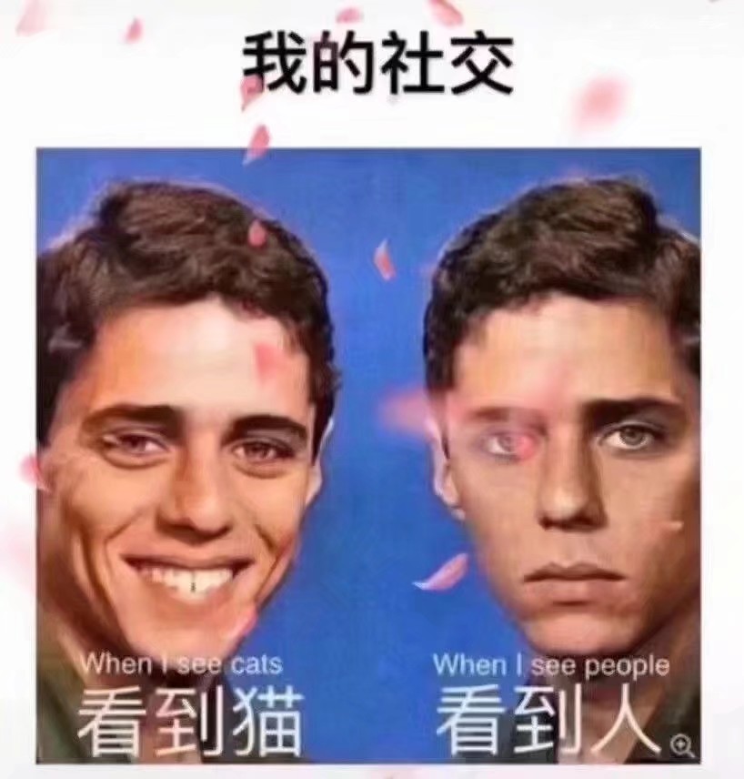 段子