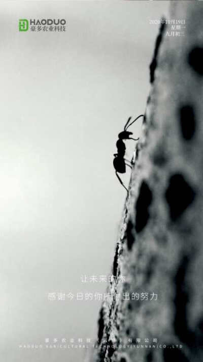 早安！
今日昆明的春城一如既往地寒冷，豪多农业提醒各位记得保暖吗！
都说一年之计在于春，一天之计在于晨
而我们的一周之计在于周一哦
今天又是元气满满努力的一天
加油！
豪多农业，美味与健康共存！
