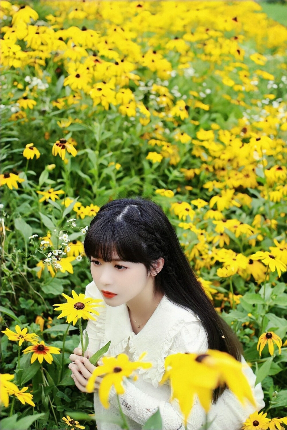 赖美云