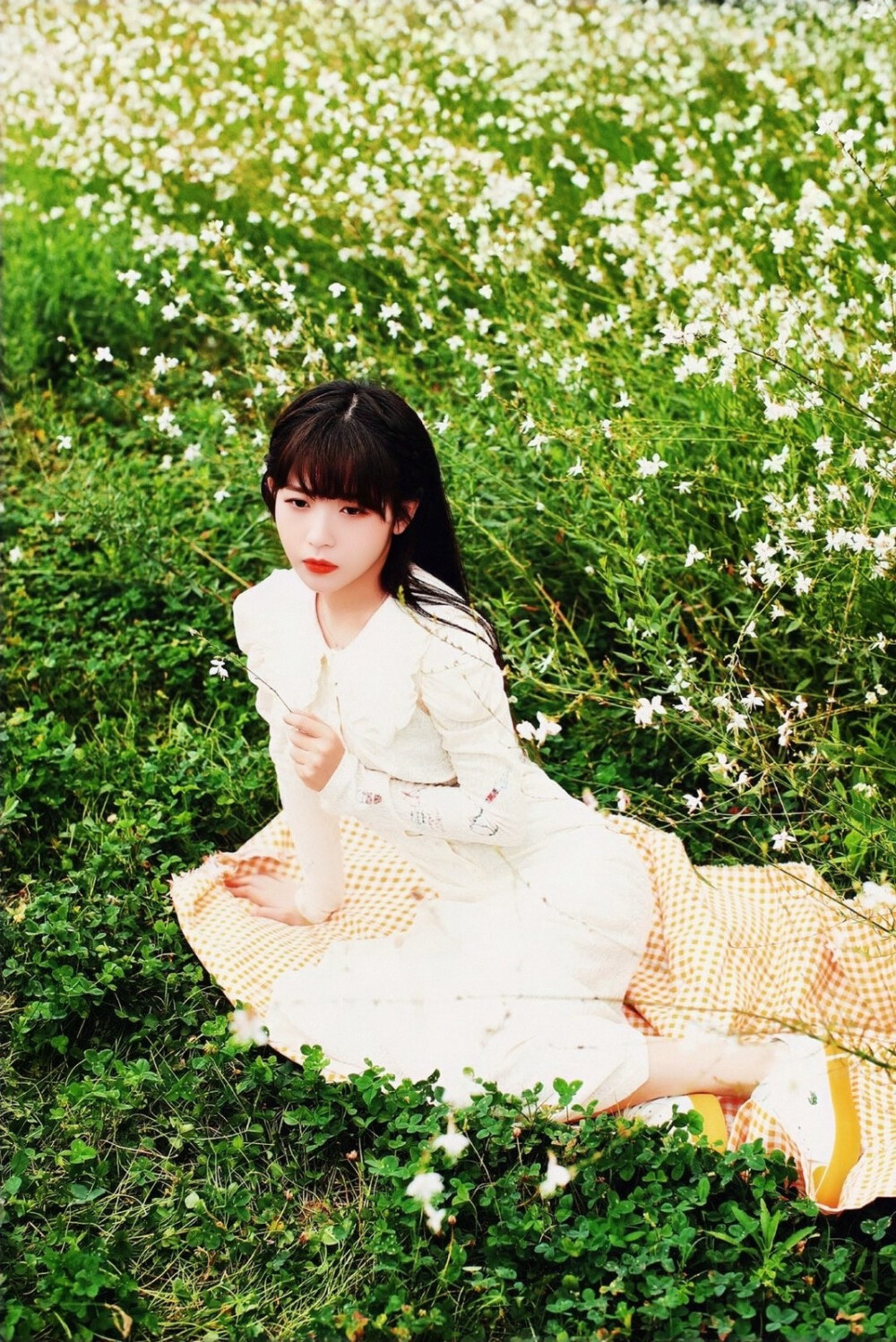 赖美云