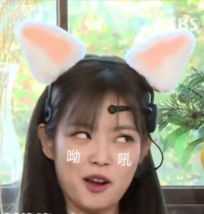 jennie表情包