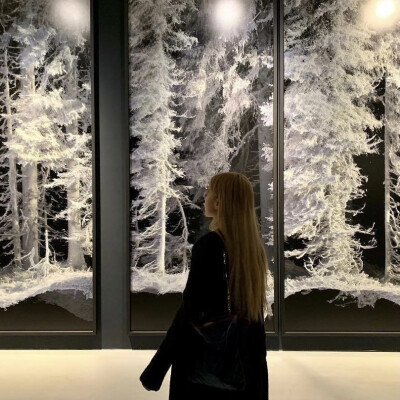 rosé 朴彩英 背影杀