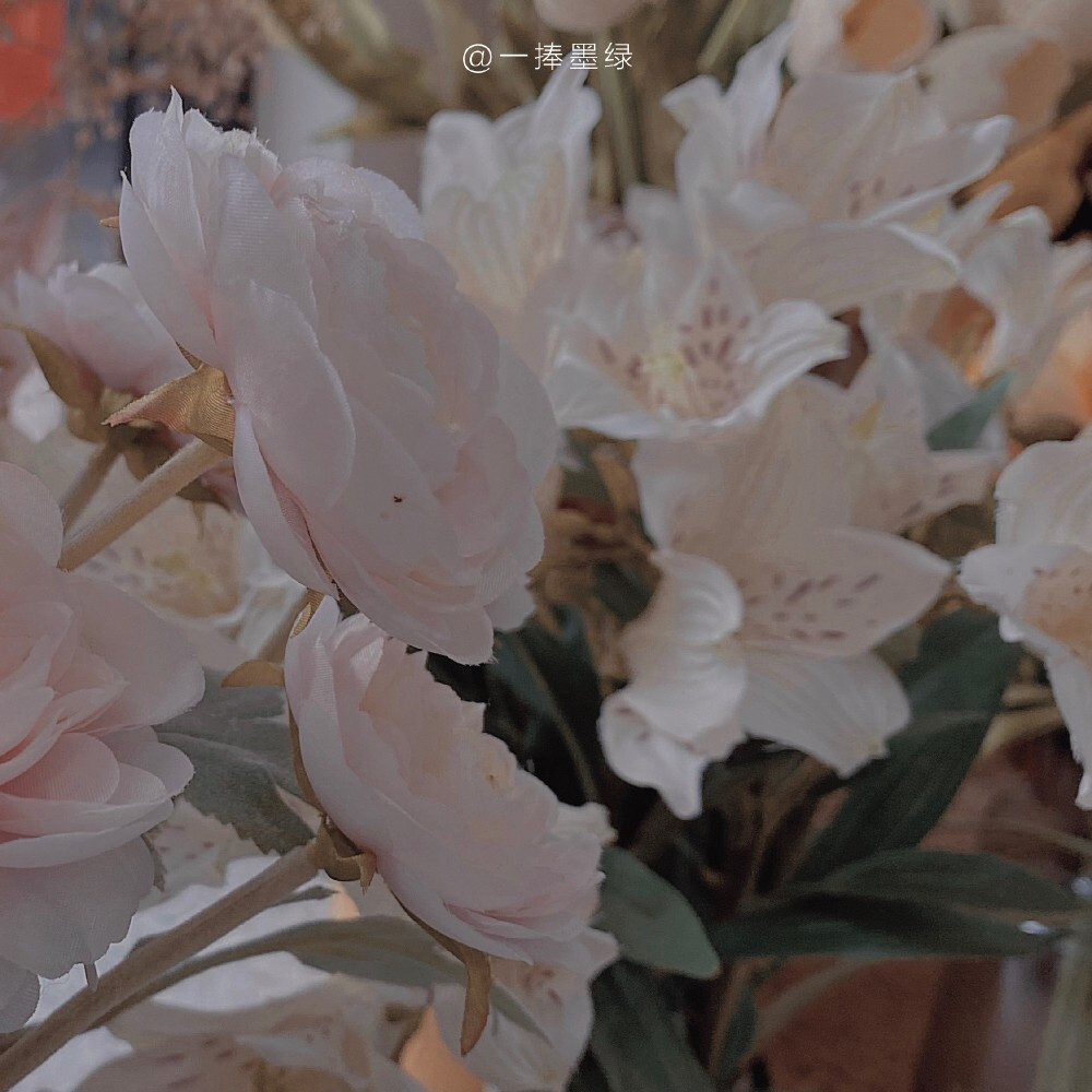  Fˡᵒʷᵉʳ ˢʰᵒᵖˢ ᵈᵒⁿ'ᵗ ʲᵘˢᵗ ᵉˣⁱˢᵗ ᶠᵒʳ ᶠˡᵒʷᵉʳˢ.
花店也不只是为花而存在。
