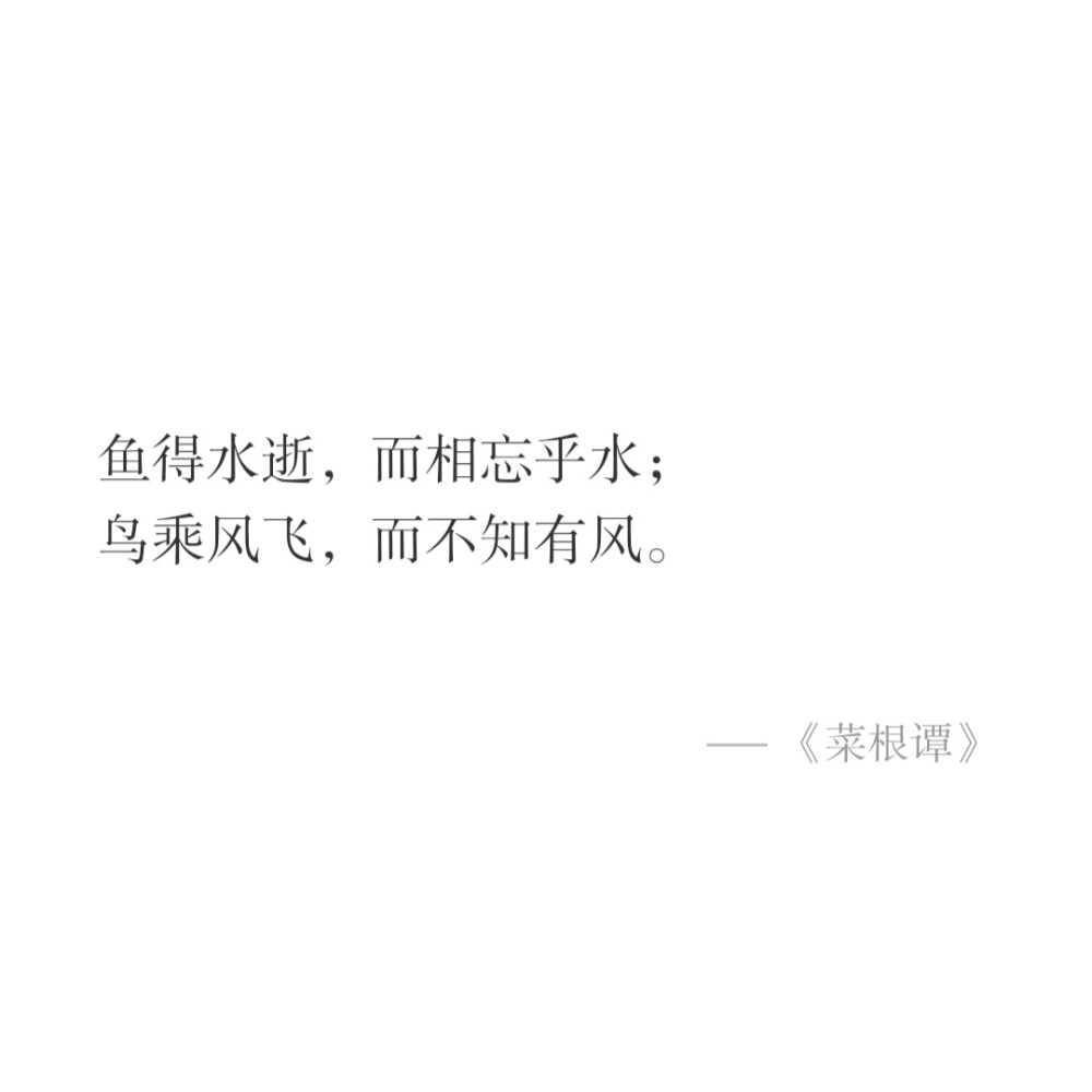 文字/句子
截自APP小独