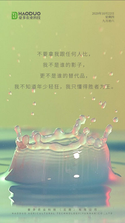 豪多农业金句分享
我不懂年少轻狂，只懂胜者为王