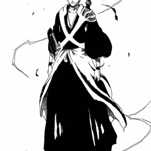 黑崎一护6 死神&虚~最终形态