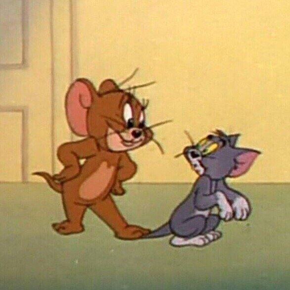 猫和老鼠