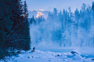 新疆雪景
来源:人民日报
详见水印