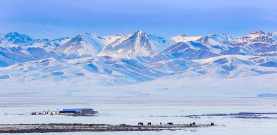 新疆雪景
来源:人民日报
详见水印