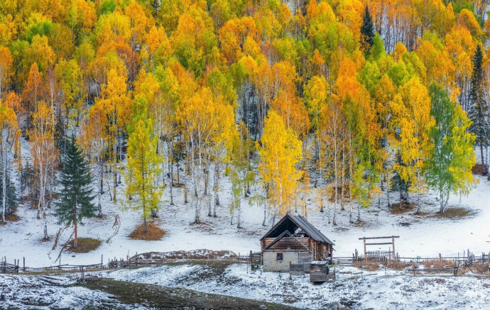 新疆雪景
来源:人民日报
详见水印