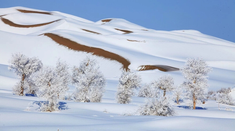 新疆雪景
来源:人民日报
详见水印